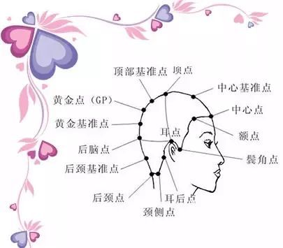 發(fā)型基本原理和美發(fā)的基礎(chǔ)小知識