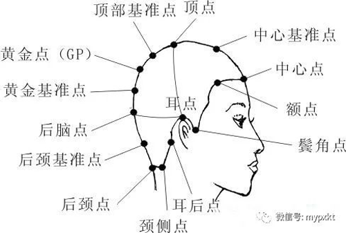 初學者剪發(fā)基本手法